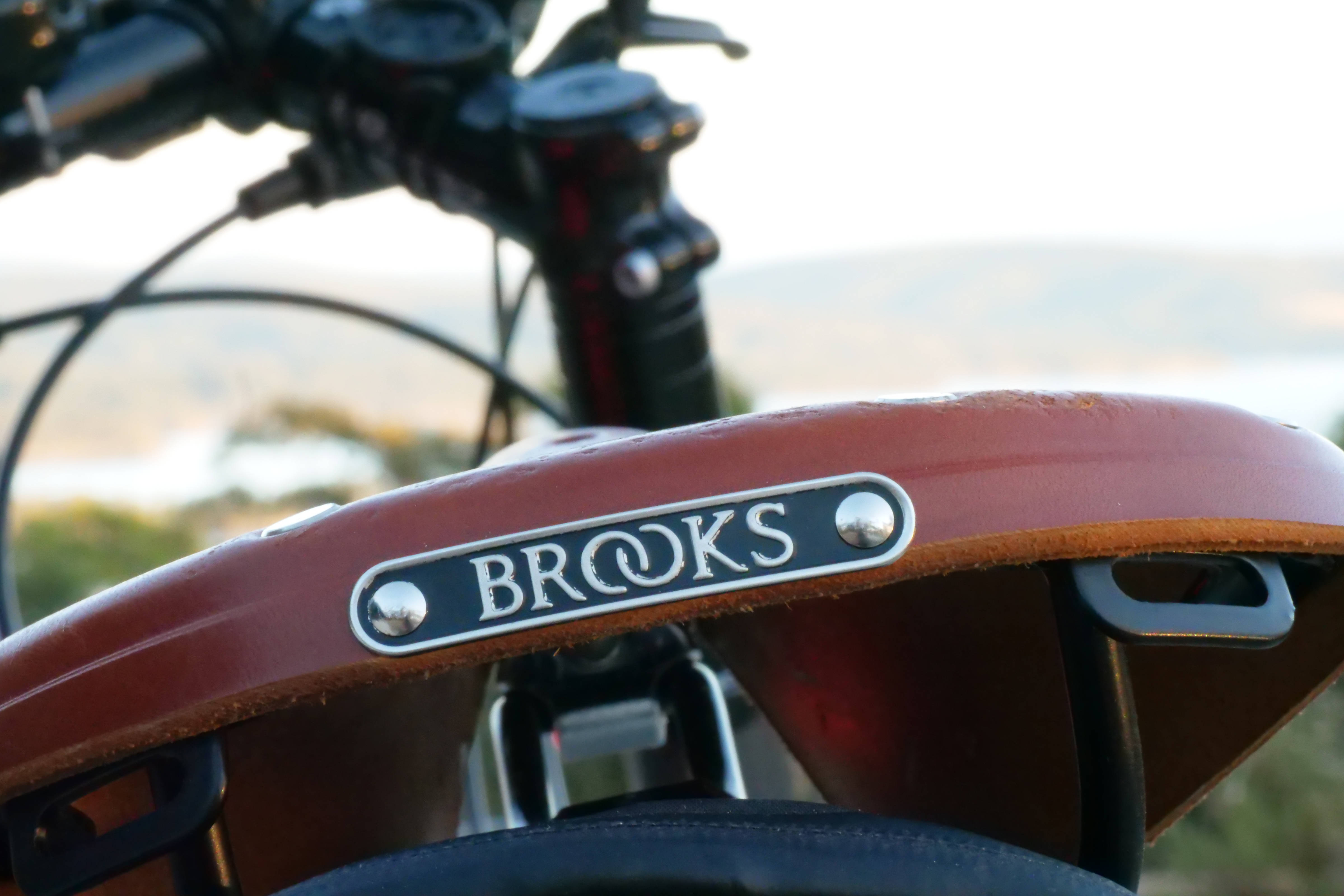 Rear view of Brooks tan leather bicycle saddle.