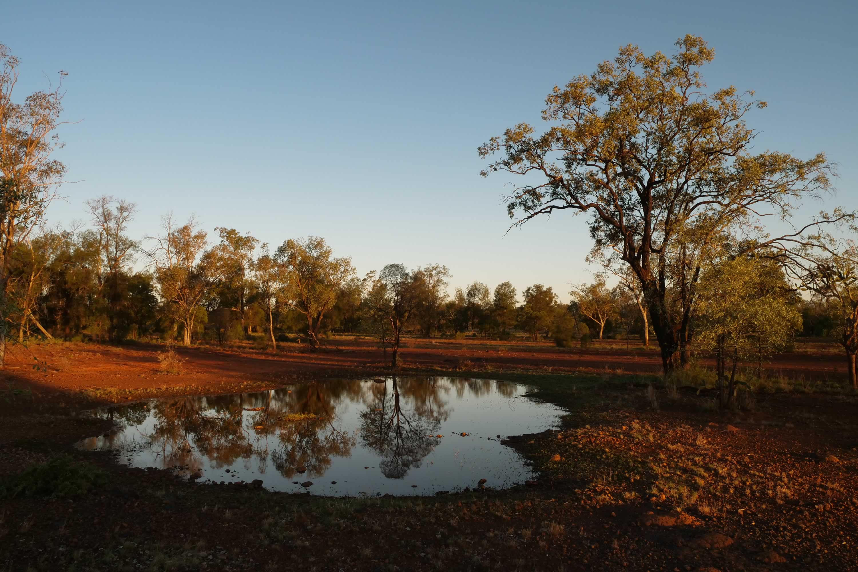 Queensland landscape. Photo: Andrew Hughes.